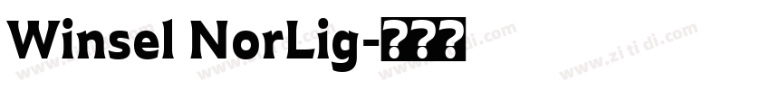 Winsel NorLig字体转换
